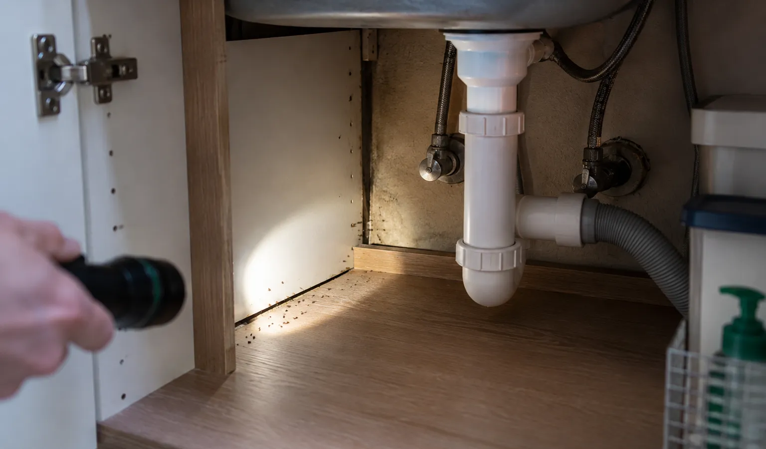 Inspectie met een zaklamp onder een keukenkast op sporen van kakkerlakken